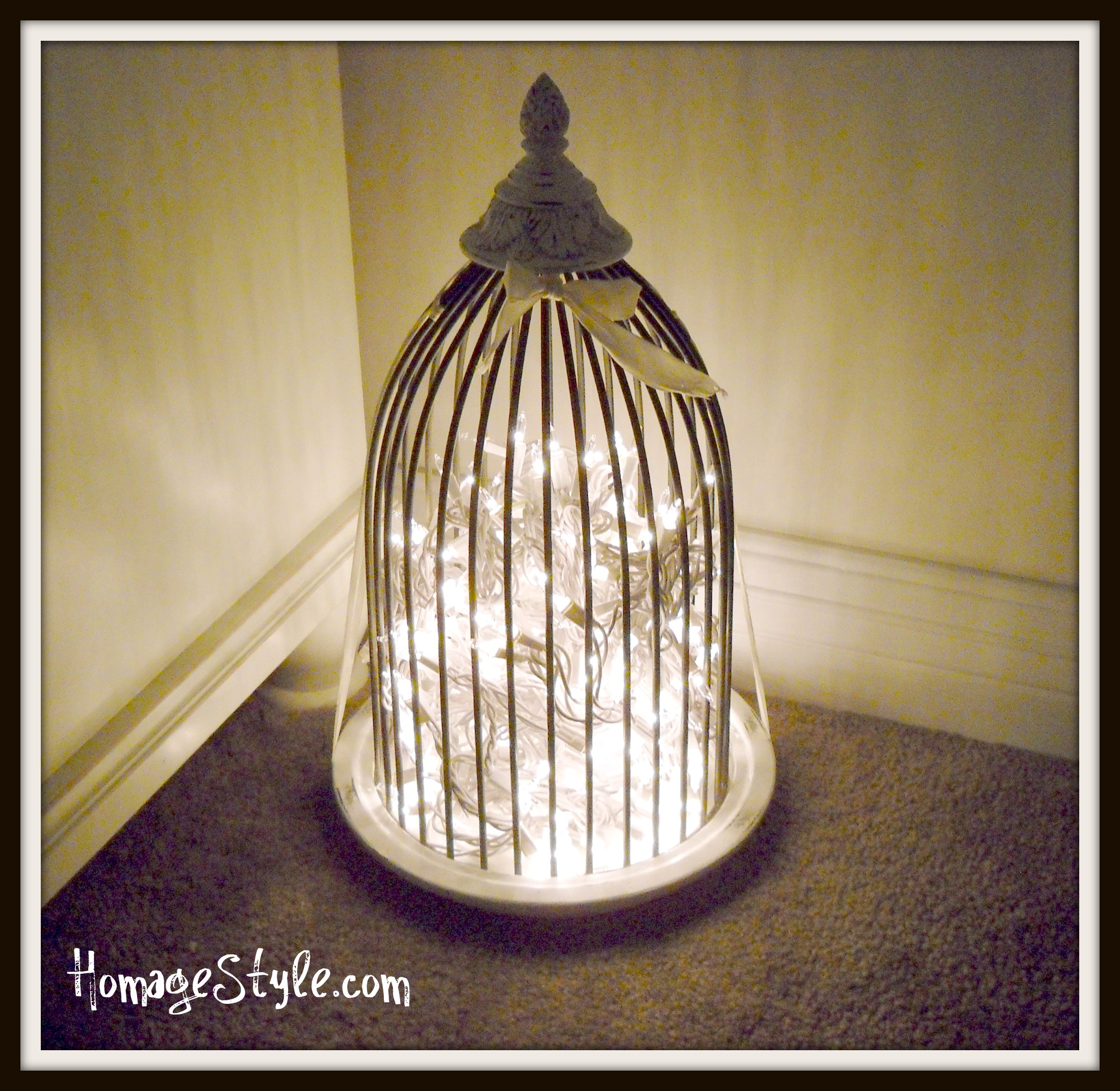 birdcage lighting